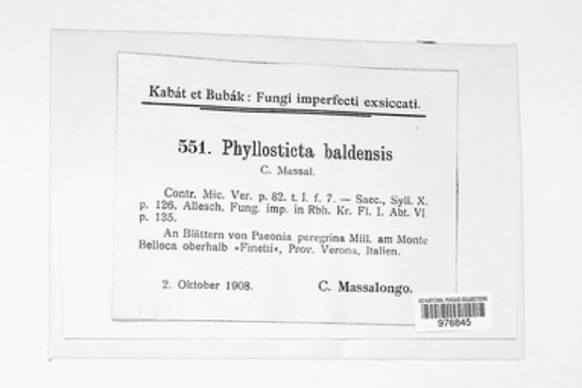 Asteromella baldensis image